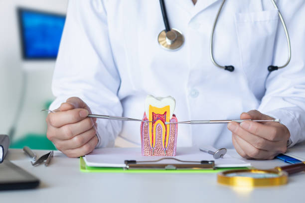 Best Walk-In Emergency Dentist in Richnd Heights, MO